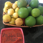 Frutas do Valhalla Hostel Florianópolois